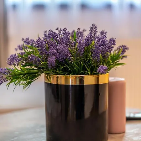 Plaza Сараево